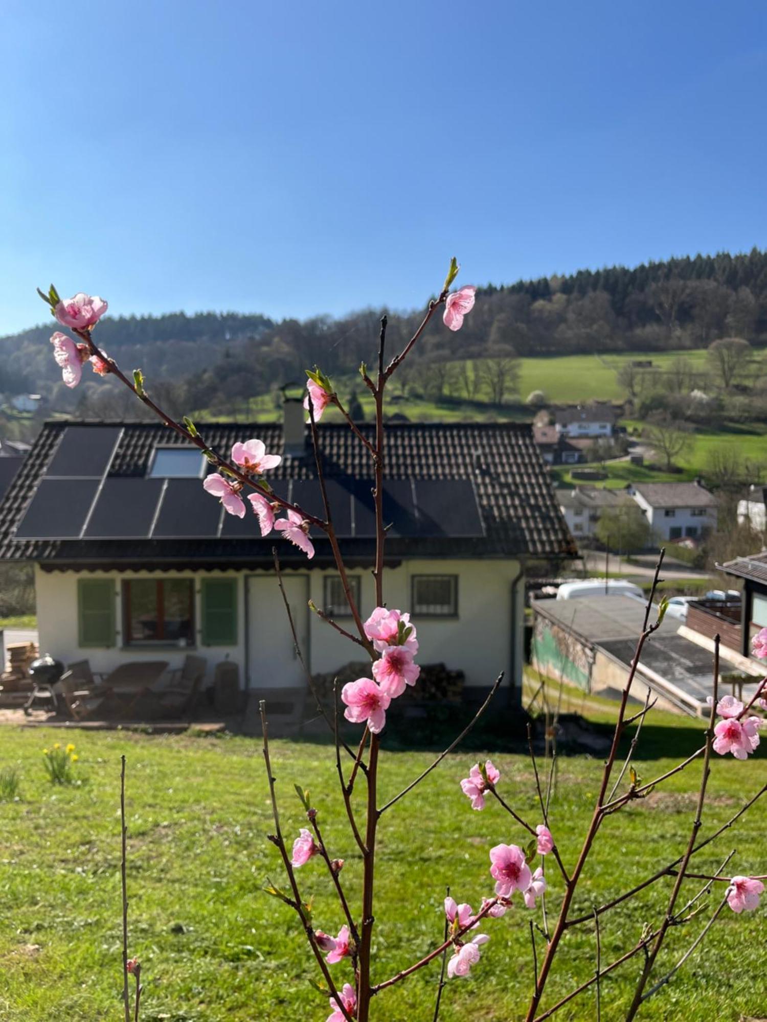 Ferienhaeusel Allemuehl Schonbrunn  Kültér fotó